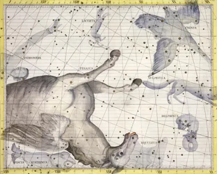 Constellation de Pégase, 1729