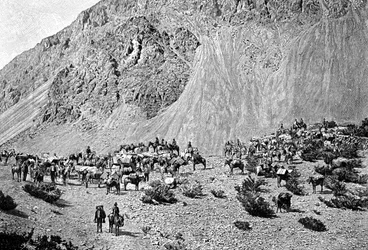 Convoi de muletiers au pied de la Cordillère, Amérique du Sud