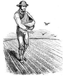 Rotation des cultures : semis à la volée, 1855