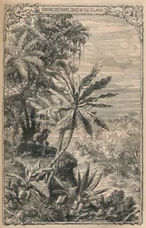 Crusoe découvre des chèvres sur l