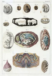 Dendrites et agates