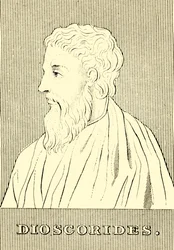 Dioscoride, vers 40-90 après J.-C., 1830