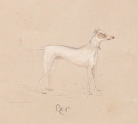 Chien, 1800s