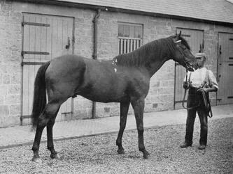 Donovan, 1886-1905, 1911