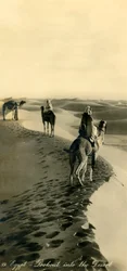 Égypte - Vue sur le désert, vers 1918-1939