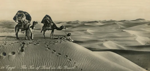Égypte - La Mer de Terre dans le Désert, vers 1918-1939