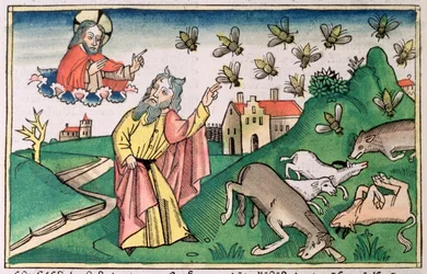 Exode 8:20-32: Moïse et l