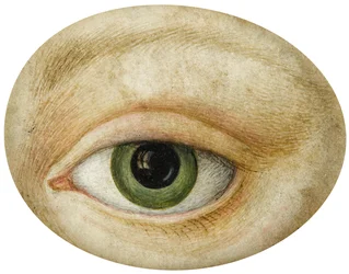 Œil