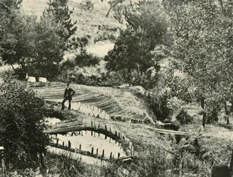 Étangs à poissons, Ercildoune, près de Ballarat, 1901