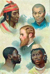 Cinq types de races humaines, fin du XIXe siècle