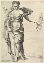 Flore