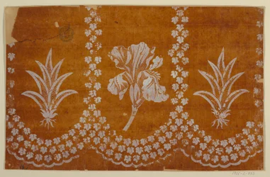 Champ Floral et Bordure
