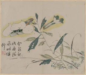 Lys en fleur, 18e siècle