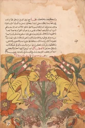 Folio d