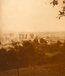 Forêt d