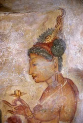 Fresque/Dames de Sigiriya/Sri Lanka