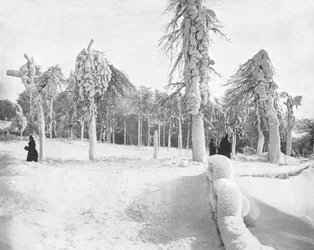 Travail de Givre à Prospect Park, Niagara, USA, vers 1900