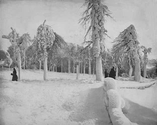 Travail de givre dans Prospect Park, Niagara, vers 1897