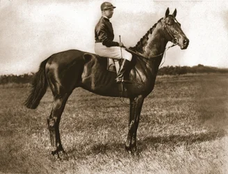 Georges Stern sur Sunstar, 1911