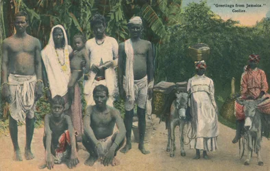 Salutations de la Jamaïque. Coolies, début 20e siècle