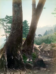 Hata sur la route de Hakone, Japon, début du XXe siècle