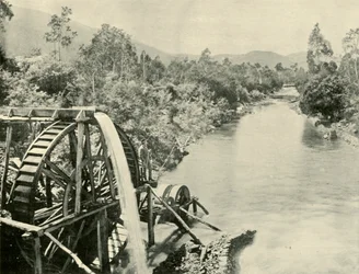 Dans la rivière Ovens, Germantown, 1901