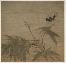 Insectes et bambou, 13e siècle