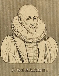 J. Gerarde, vers 1545-1612, 1830