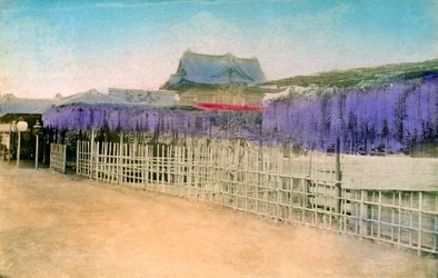 Japon