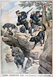 Soldats japonais avec des chiens localisant un Russe caché, guerre russo-japonaise, 1904