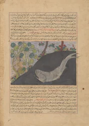 Jonas et la baleine, folio d