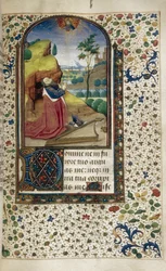Le roi David en prière Livre d