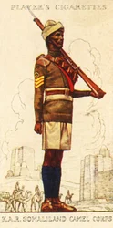 Rifles africains du roi : Corps de chameaux du Somaliland, 1936