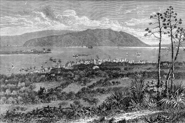 Port de Kingston, Jamaïque, c1880