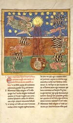 Feuille d