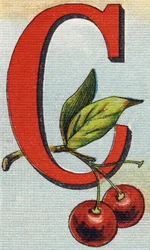 Lettre C : cerises. Gravure dans "Alphabet de ma petite fille". Bernardin-Bechet et Fils, libraires-éditeurs, Paris, vers 1895. Album incassable sur toile. Bibliothèque des Bébés. 12 pages. Album contenant une méthode de lecture et un abécédaire illustrati