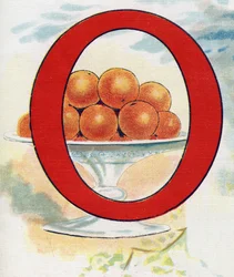 Lettre O : oranges. Gravure dans « ABC L