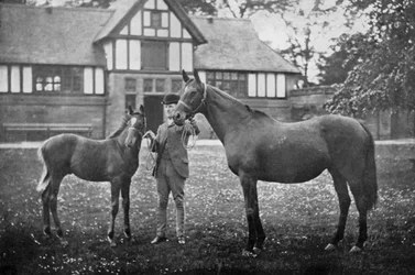 Lily Agnes, avec Orelio par Bend Or, gagnant de £4955, 1894 1938