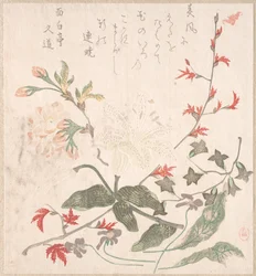 Lys, violettes, fleurs de cerisier, forsythia et une branche d