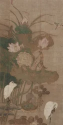 Lotus, insectes et oiseaux
