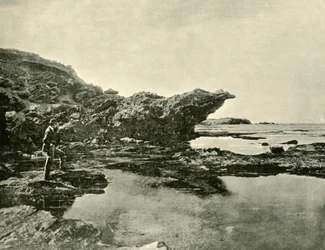 Marée basse, Shelly Beach, Warrnambool, 1901