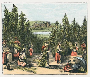 Maidstone, vers 1910