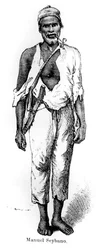 Manuel Seybano, Saint-Domingue