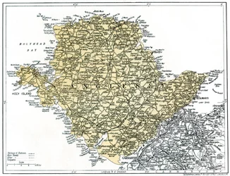 Carte d