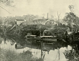 Usine de viande, près de Grafton, Nouvelle-Galles du Sud, 1901