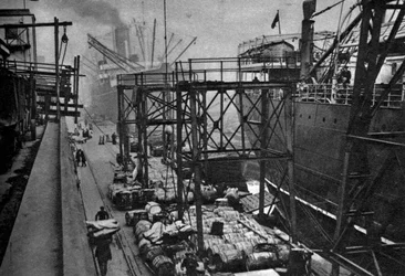 Navires marchands dans le Royal Albert Dock, Londres, 1926-1927