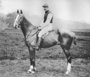 M. Spencer Gollan, 1911
