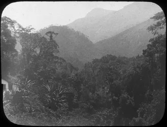 Près de Petrópolis, Rio de Janeiro, Brésil, fin du 19e ou début du 20e siècle