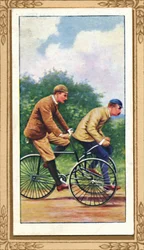 Tandem tricycle Olympia