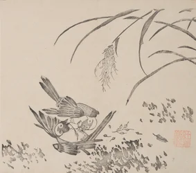 Page de Shi Zhu Zhai